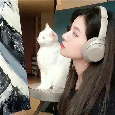 天降奇缘国语