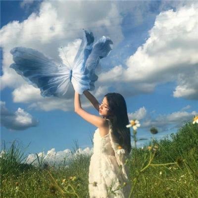 蜘蛛与郁金香
